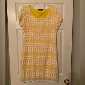 NWT Crochet/eyelash lace lined dress